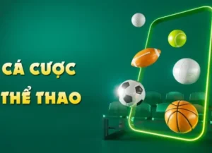 Tìm Hiểu Thể Thao 7Club: Đỉnh Cao Giải Trí Thể Thao
