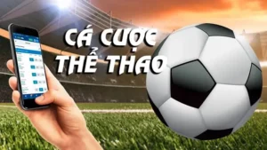 So Sánh Thể Thao Topbet379 Với Các Nền Tảng Thể Thao Khác